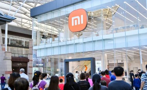 雷軍放話小米對標(biāo)蘋果 為何社會支持難以比肩華為？