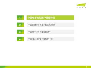 2015年中國電子支付用戶研究報(bào)告 電子支付密碼系統(tǒng)產(chǎn)品趨勢(shì)分析