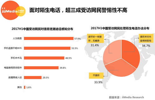 2017上半年中國網絡安全市場研究報告